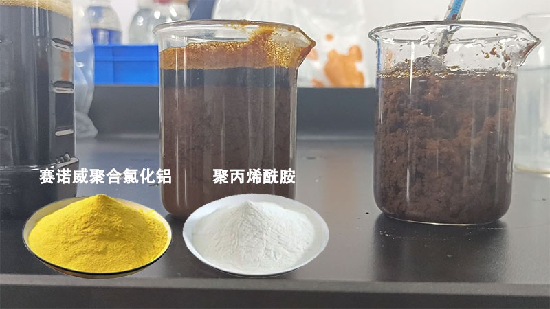 利用聚铝氯化物和聚丙烯酰胺絮凝剂实现高效水产养殖废水处理